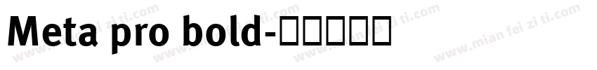 Meta pro bold字体转换
